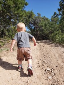 hiking trails albuquerque moms blog