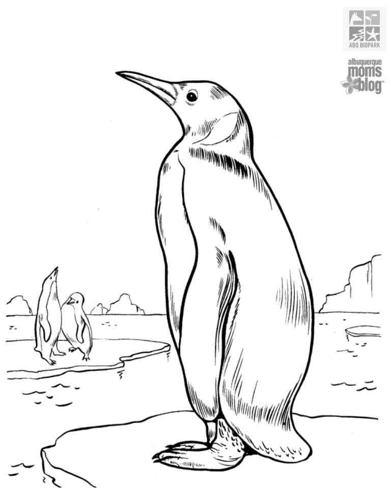 penguin chill coloring page, Albuquerque Moms Blog, ABQ BioPark