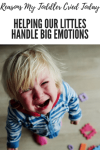 reasons my toddler cried today, toddler emotions, ABQ Moms