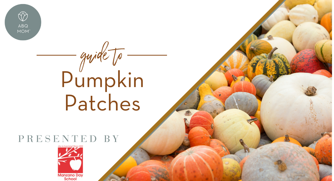 Guide to Pumpkin Patches in the Albuquerque Area